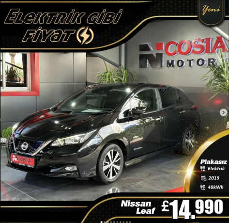 nissan-leaf-big-0